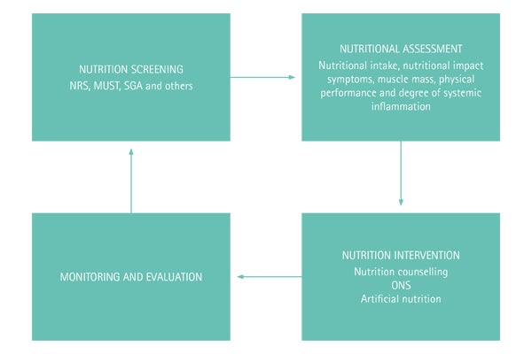 Nutrition care process