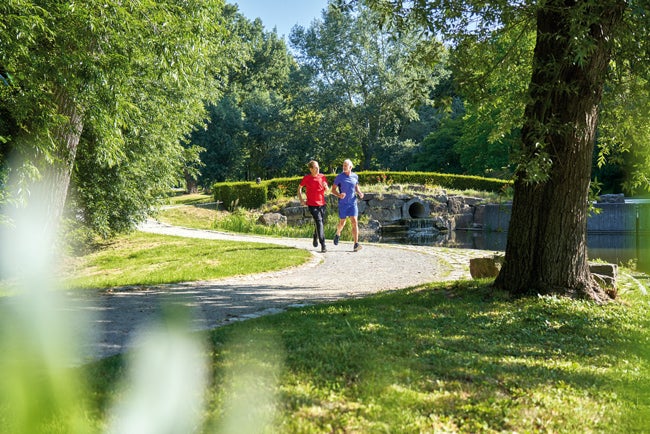 jogging as endurance training