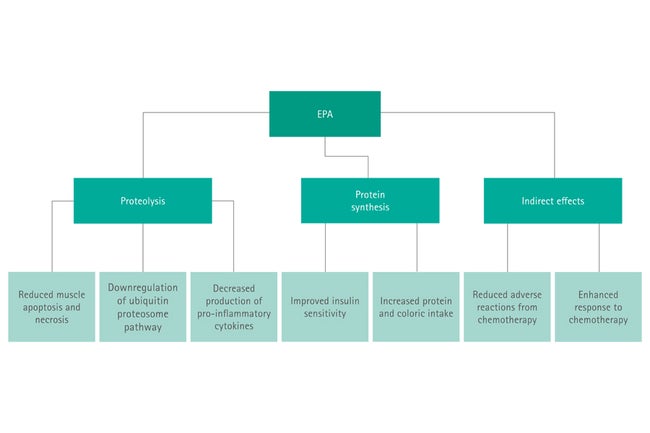 EPA (omega-3) effects